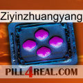 Ziyinzhuangyang 04